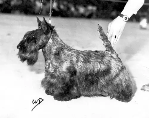 SWE CH Reanda Ravita