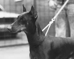 Tanja van de Kunnemaborgh