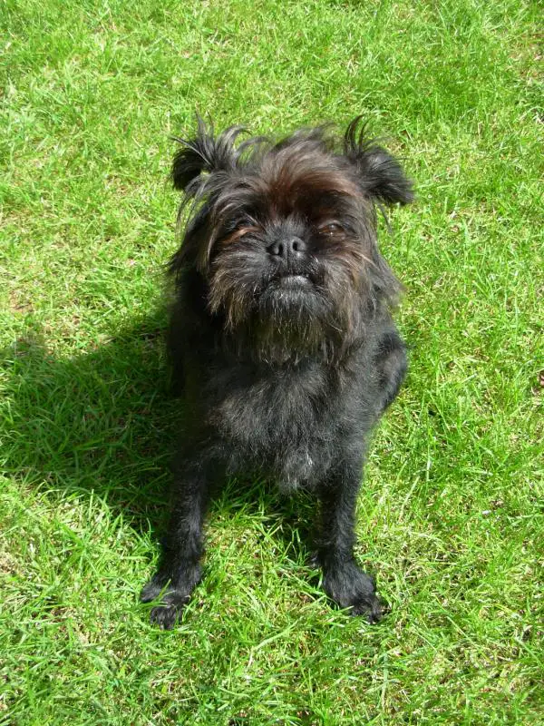 Raffaela von der Folgenquelle