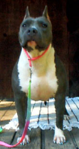 Sandune Aren't You Envious