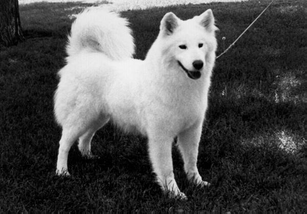 Elmfield's Autumn Delight