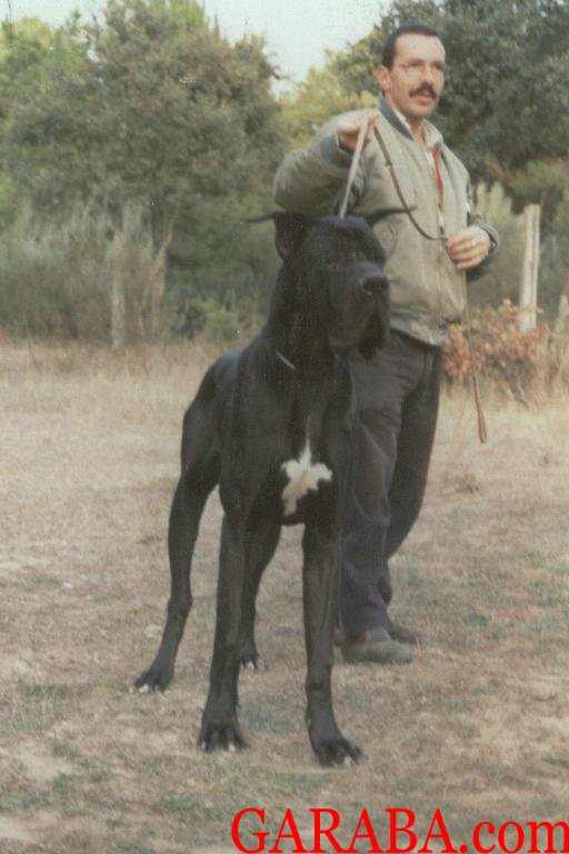 Nirbay-Tsing de la Benjamine