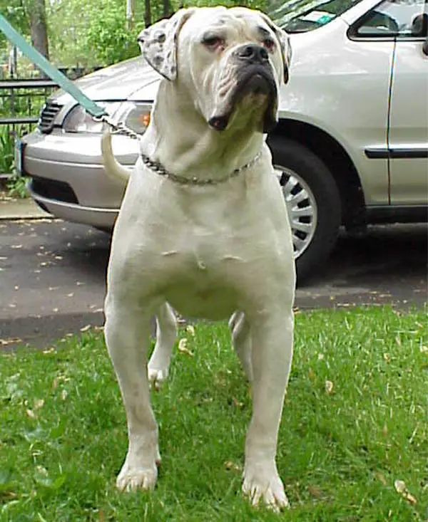 Big Sky's Jacob PH-0.53/0.28