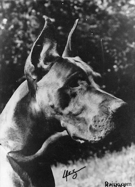 CH FR 70 Ronny de la Templerie