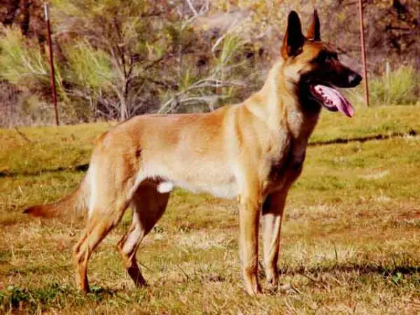 Oslo du Calvaire aux Acacias