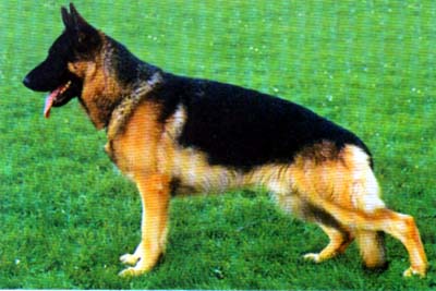 V76 Axel von Vauen