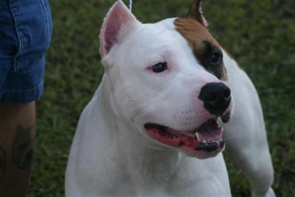 Grimes' Snowball Chance N'Hell