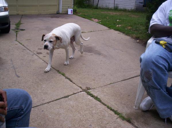 Paramount's Quiet Storm