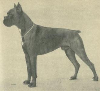 Edler von der Fuhlenburg