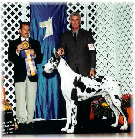 CH Caprata Scoobydoo of Alpine