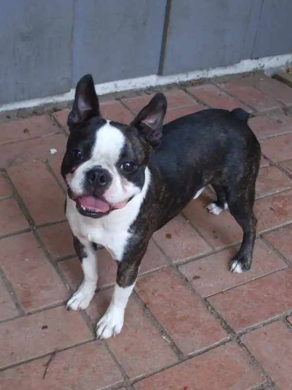 Mac-N-Abba'S Great Exceptation