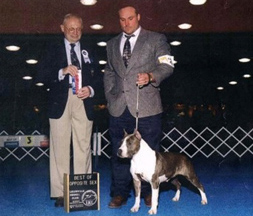 CH BenMar's Oakdale Evolution