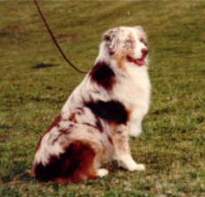 Briarbrook's Man In The Moon