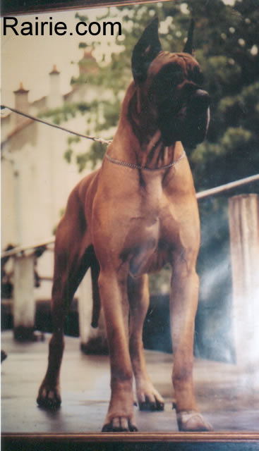 CH FR 80 Phale des Terres de la Rairie