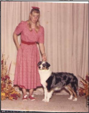 CH (US) Somercrest Sassy Lassy