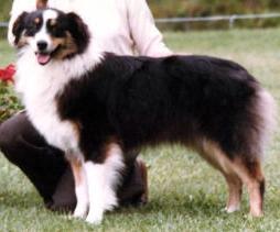 Briarbrooks Sheer Elegence