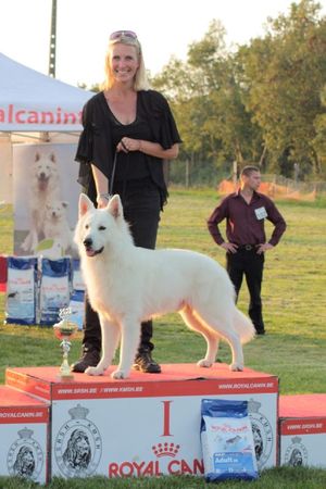 MULTI CHAMPION Baby Baron du Bois des Ternes