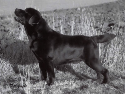 Cricklecreek Cruising Along