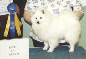 CH 'PR' Sno-Pals Frosty Fairy Tail