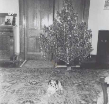 Hartnagles (Elys) Goody