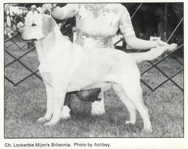 CH Lockerbie Mijans Britannia