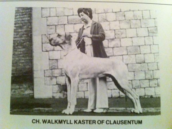 CH Walkmyll Kaster of Clausentum