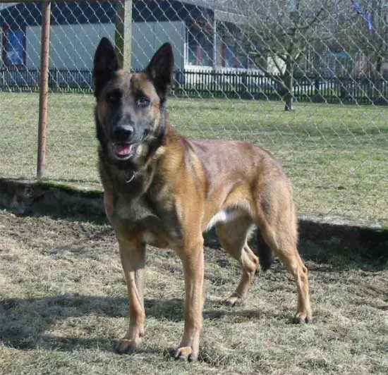 Uti des Deux Pottois