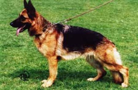 V Nicky von Haus Lacherom