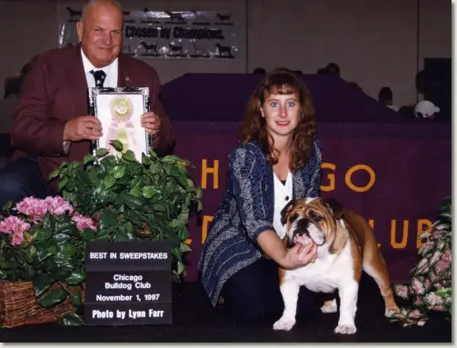 CH (AKC) Edwards Hollyhock