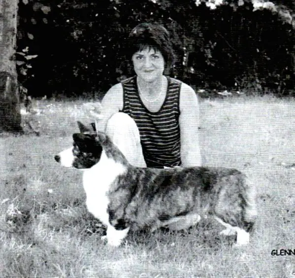 AM CH Llaneirwg Bunny Yeager