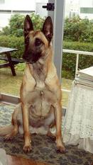 Lady van de Haantjeshoek