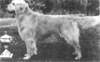 INT. DUTCH, LUX, GER Marymor Miles