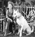 Tango of White Shadow Crider