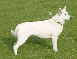 Grendel von Grandy