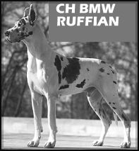 CH BMW Ruffian