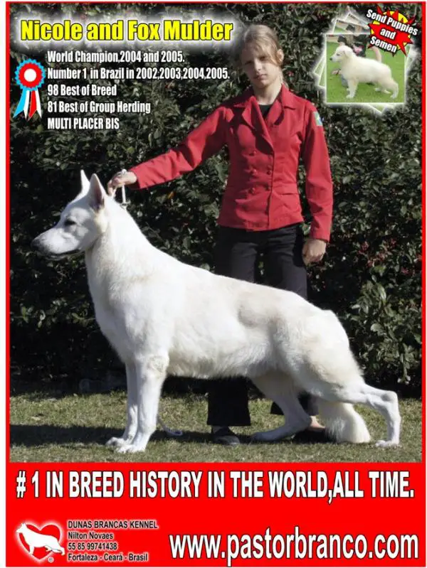 WW 04/05 Alhambra's Fox Mulder