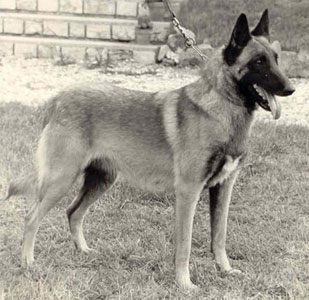 Uska du Mas des Lavandes