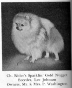 CH Rider's Sparklin Gold Nugget