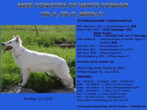 Miss Conchita of White Condor