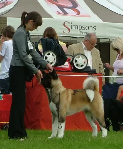 Saburuko's Fyre It Up