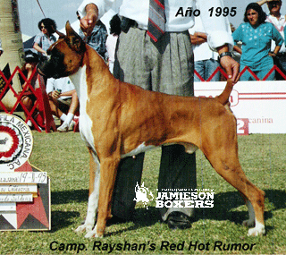 CH. Rayshan's Red Hot Rumor