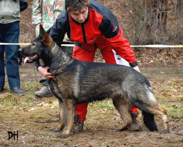 V Tessi Hronovsky pramen