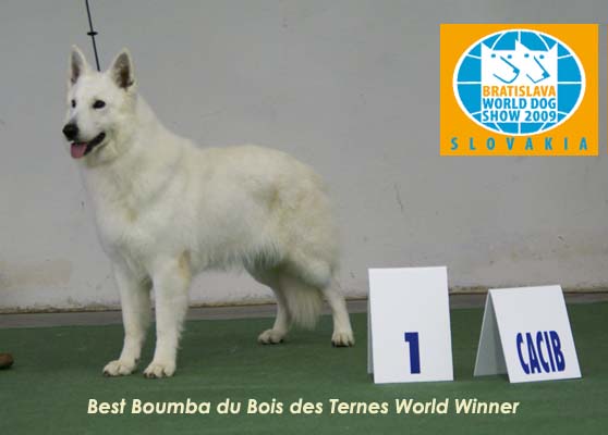 WORLD WINNER 2009 Best Boumba Du Bois Des Ternes