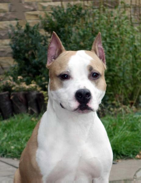 CH UA Kiera Knightley Gloria Way