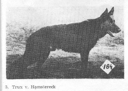 V Trux vom Hamstereck