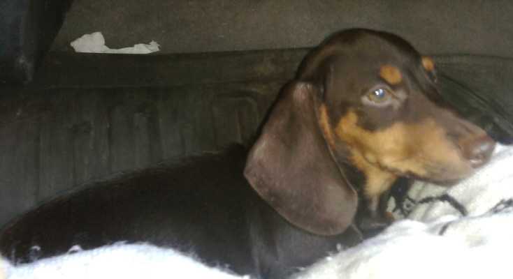 KLT Loveless's Lindsey Jayne