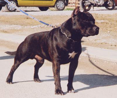 Oxbow Du Domaine De Dzeus