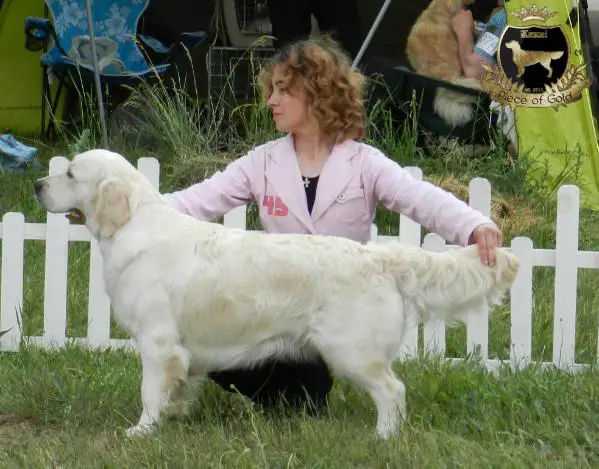 Piece Of Gold ABBA's Angeleyes