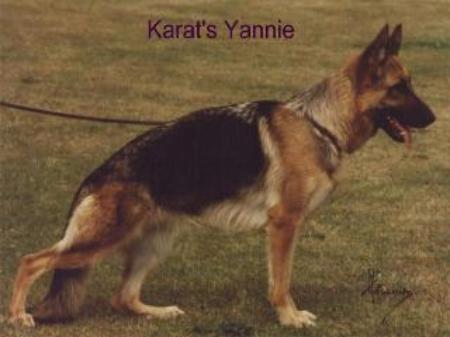 V1 Karats Yannie