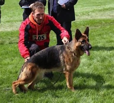 VA3 (USA 2015) Kizzy v.d. Tempelhoeve